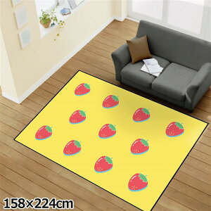 ���O �􂦂� �k�� ������� 3�� ��158×224cm �J�[�y�b�g �C���X�g�A�N�Z���g�}�b�g �I�[���V�[�Y�� ���r���O �_�C�j���O �Q�� �z�b�g�J�[�y�b�g�Ή� �]�ʃv�����g TEN142-E�C�`�S