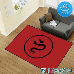 O 􂦂 k  3 158×224cm J[ybg CXg ANZgO ANZg}bg I[V[Y rO _CjO Q zbgJ[ybgΉ ]ʃvg TEN145-E Ei