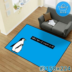 O 􂦂 k  3 158×224cm J[ybg CXg ANZgO ANZg}bg I[V[Y rO _CjO Q zbgJ[ybgΉ ]ʃvg TEN150-E y