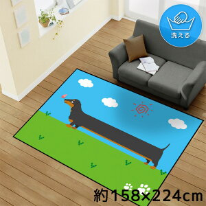 O 􂦂 k  3 158×224cm J[ybg CXg ANZgO ANZg}bg I[V[Y rO _CjO Q zbgJ[ybgΉ ]ʃvg TEN160-E _b