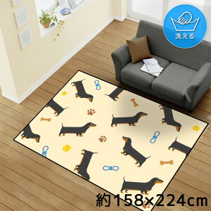 O 􂦂 k  3 158×224cm J[ybg CXg ANZgO ANZg}bg I[V[Y rO _CjO Q zbgJ[ybgΉ ]ʃvg TEN161-E _b