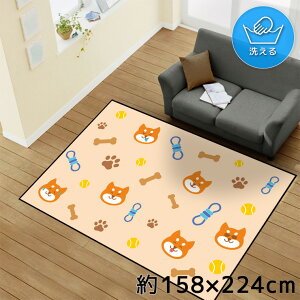 O 􂦂 k  3 158×224cm J[ybg CXg ANZgO ANZg}bg I[V[Y rO _CjO Q zbgJ[ybgΉ ]ʃvg TEN162-E Č 