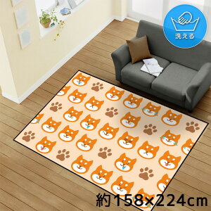 O 􂦂 k  3 158×224cm J[ybg CXg ANZgO ANZg}bg I[V[Y rO _CjO Q zbgJ[ybgΉ ]ʃvg TEN163-E Č 