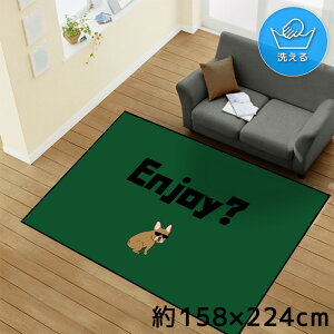 O 􂦂 k  3 158×224cm J[ybg CXg ANZgO ANZg}bg I[V[Y rO _CjO Q zbgJ[ybgΉ ]ʃvg TEN165-E u