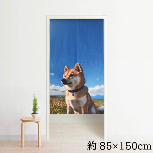 ̂ g  􂦂 150 85×150cm ډB Ԏd؂ ^yXg[ IWivg ] vg Ɩp ~[[X