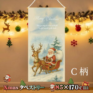 NX}X^yXg[ ^yXg[ NX}X ̂ Ǌ| c[ [X T^N[X k Vv i` CeA 唻 傫 傫 85×170cm  킢 ~