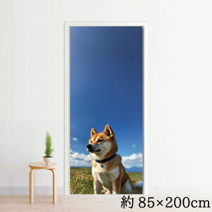 のれん ロング 暖簾 おしゃれ 洗える 200丈 約85×200cm 目隠し 間仕切り タペストリー オリジナルプリント 転写 プリント 業務用 ミラーレース