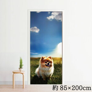 ̂ O g  􂦂 200 85×200cm ډB Ԏd؂ ^yXg[ IWivg ] vg Ɩp ~[[X