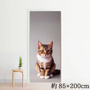 ̂ O g  􂦂 200 85×200cm ډB Ԏd؂ ^yXg[ IWivg ] vg Ɩp ~[[X