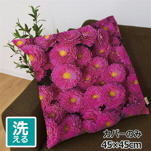 NbVJo[ 45×45cm 􂦂  􂢑ւ wăNbV \t@[` tANbV  ]ʃvg CSC-A153 1