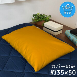 ���J�o�[ �܂���J�o�[ �s���[�P�[�X ��35×50cm �􂦂� ������ �J�o�[�̂� �t�@�X�i�[�t �Q�� �Ȃ߂炩 �ӂ�ӂ� �N�b�V�����J�o�[ �]�ʃv�����g ���� �O�b�Y �����J���[ ���n