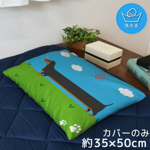 Jo[  킢 ܂Jo[ s[P[X 35×50cm k 􂦂 Jo[̂ t@Xi[t Q Ȃ߂炩 ӂӂ NbVJo[ ]ʃvg CSC-C159 _bNXtg  