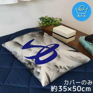 Jo[  킢 ܂Jo[ s[P[X 35×50cm k 􂦂 Jo[̂ t@Xi[t Q Ȃ߂炩 ӂӂ NbVJo[ ]ʃvg CSC-C170 n1  u[