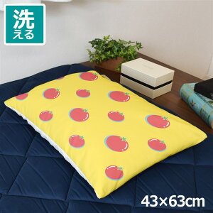 Jo[  킢 ܂Jo[ s[P[X 43×63cm k 􂦂 Jo[̂ t@Xi[t Q Ȃ߂炩 ӂӂ NbVJo[ ]ʃvg CSC-D139g}g