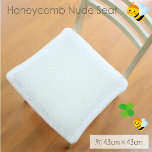 { njJbVk[hV[gNbV43cm×43cm NbVg AEghAłłI߂ACeICyɐăJ^ɊႤ֗NbV