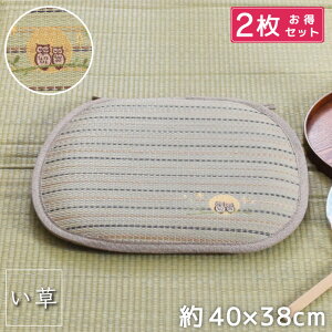 y2_ZbgzNbV V[gNbV zc 40×40cm  C hJ ֎qpNbV `FA `FA}bg a a 킢  Ђt  COT