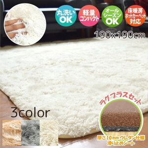 O ~ ~ OZbg  h ~ 􂦂 VM[ 2 190cm×190cm SARAH T ё30mm E^ ӂӂ zbgJ[ybgΉ Jo[ Oplus+ OvXZbg 