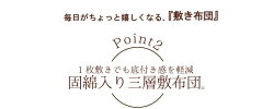 布団敷き布団単品シングル防ダニ抗菌防臭吸湿国産日本製安心熊本製敷き布団約100×200cmテイジンTEIJIN新生活寝室寝具一人暮らし軽量軽い固わたマイティトップ