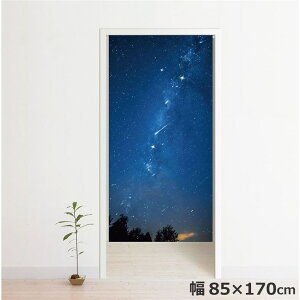 ̂ g  􂦂 ډB Ԏd؂ ^yXg[ IWivg ] 85×170cm  u[  i 170 ~[[X