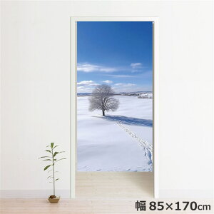 ̂ g  􂦂 ډB Ԏd؂ ^yXg[ IWivg ] 85×170cm  u[  i 170 ~[[X
