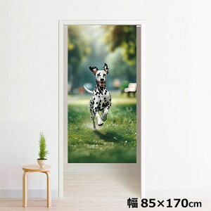 ̂ g 􂦂 ډB Ԏd؂ ^yXg[ IWivg ] 85×170cm 170 ~[[X NOR-B081 삯錢