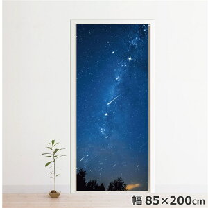 ̂ g  􂦂 ډB Ԏd؂ ^yXg[ IWivg ] 85×200cm  u[  i 200 O ~[[X