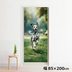 ̂ g 􂦂 ډB Ԏd؂ ^yXg[ IWivg ] 85×200cm 200 ~[[X NOR-C081 삯錢