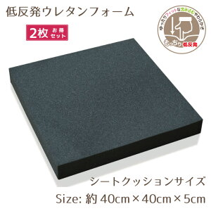 �N�b�V���� ���g 2���g �E���^�� �ᔽ�� �V�[�g�N�b�V���� 40×40×5cm DIY ��| �E���^���t�H�[�� ���ɑ΍� �����` �J�X�^�}�C�Y �V���� �p�[�c