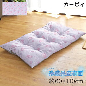 �����z�c �N�b�V���� �Ђ��� �⊴ �� ��60×110cm ����Q �t���A�N�b�V���� �����΍� ���킢�� �����Q �L�����N�^�[ �T�����I