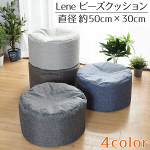 _yVX[p[SALEGg[P10{^ r[YNbV  k ~^ ی` ~` 50R×30cm  Vv RpNg I[V[Y  킢  ֎q CX Xc[ p