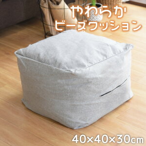 NbV r[YNbV r[Y Xc[ L[u r[Y\t@ 40×40×30 w lp tANbV Vv   킢 􂦂 [ [l