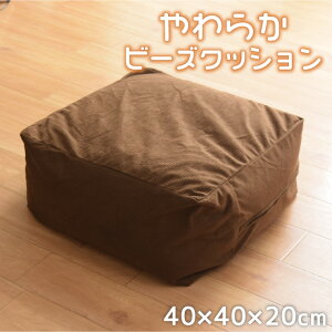 NbV r[YNbV  r[Y Xc[ L[u r[Y\t@ 40×40×20 璹iq w lp tANbV Vv   킢 􂦂 [