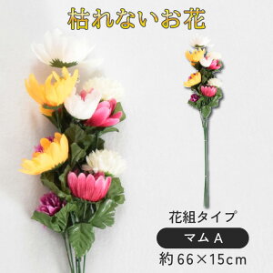     ԑ d dp  @  Ԉ ~ ފ   @  ~ V~  蕨 O