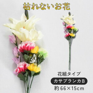    ԑ d dp  @  Ԉ ~ ފ   @  ~ V~  蕨 O