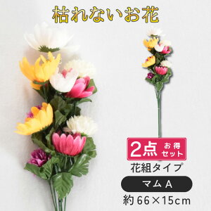     ԑ d 2_ dp  @  Ԉ ~ ފ   @  ~ V~  蕨 O