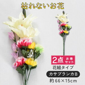     ԑ d 2_ dp  @  Ԉ ~ ފ   @  ~ V~  蕨 O