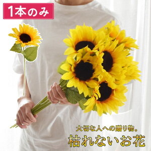   Ђ܂ ԑ v[g Mtg AW ͂Ȃ  d  ԑ d dp  @  Ԉ ~ ފ   @  ~ V~  蕨 