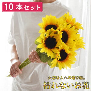   Ђ܂ ԑ v[g Mtg u[P AW 10{Zbg   d ͂Ȃ  ԑ d dp  @  Ԉ ~ ފ   @  ~ 