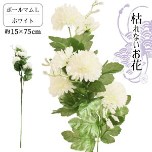   {[} p dp  ԑ ~ [ ȕ RpNg  ͂Ȃ VNt[ me zCg  x_[ Ԏ sN