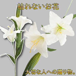 JTuJ  IG^[      d dp @  Ԉ ~ ފ   @  ~ V~  蕨 O zCg sN