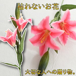 JTuJ  IG^[      d dp @  Ԉ ~ ފ   @  ~ V~  蕨 O zCg sN