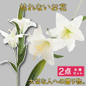 2{Zbg JTuJ  IG^[      d dp @  Ԉ ~ ފ   @  ~ V~  蕨 O zCg 