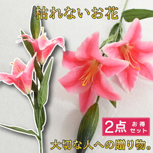 2{Zbg JTuJ  IG^[      d dp @  Ԉ ~ ފ   @  ~ V~  蕨 O zCg 