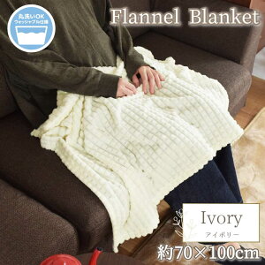 Ђ| uPbg y 􂦂 70×100cm  킢 RpNg ӂӂ ۂۂ tl G| [΍ h΍ ItBX ݑ Q \t@ Q I[V[Y 