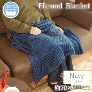 Ђ| uPbg y 􂦂 70×100cm  킢 RpNg ӂӂ ۂۂ tl G| [΍ h΍ ItBX ݑ Q \t@ Q I[V[Y 