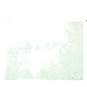 PC{[h (15-960A15-961A15-962ThuXgLrlbgp) STRAIGHT/15-9960 (STRAIGHT/Xg[g)