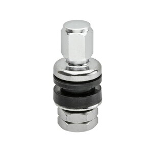 タイヤバルブ インサイド(内締め) 1ピース L34mm φ16mm STRAIGHT/30-0019 (STRAIGHT/ストレート)