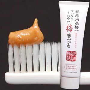 ~݂ 110g@IB썂~gp