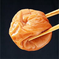 【送料無料】紀州梅干し1.3kg ちょっとキズあり はちみつ・昆布エキス入 紀州産南高梅100%使用／和歌山県…