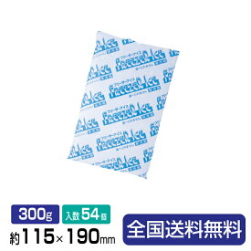 【ポイント10倍】保冷剤(ソフトタイプ)フリーザーアイスR-300 約115×190 300g 54個入り 1箱